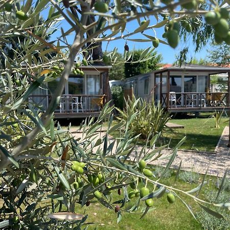 Camping Les Cigales Mandelieu Exterior foto