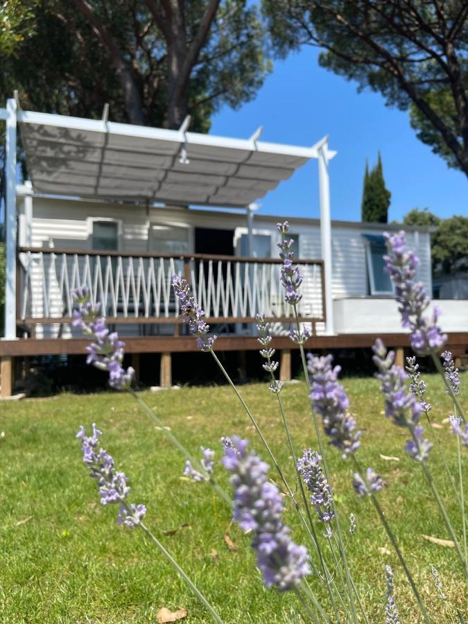 Camping Les Cigales Mandelieu Exterior foto